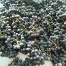 수성동011 이미지