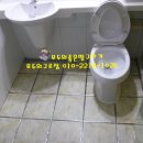 베스트오브그린