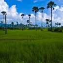 (주)우선팜 이미지