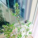 대덕농협내리지점 이미지