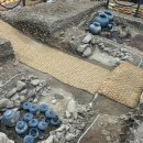 장수청과 이미지