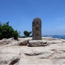 939 이미지
