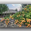 외암리민속마을 이미지