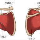 아폴로휘트니스 이미지