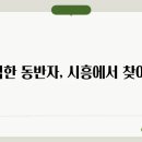 브리더클럽 이미지