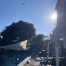 오션트리 이미지