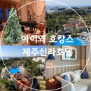 중문덴탈 | 아이와 호캉스 제주신라호텔 오션뷰 객실 체크인 장소 시간