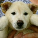 초희의 집 이미지