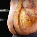 뉴바디짐휘트니스 이미지