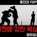 용인대탑(TOP)복싱 이미지