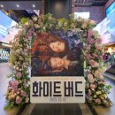 니을디자인공간