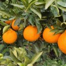 태연1농장 이미지