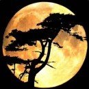 별님과달님 Daum카페