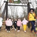 봄 숲으로 가자 이미지