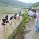 잘산대대박마을 이미지
