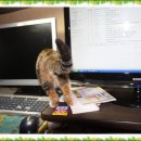 이영희민박 이미지