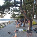 몽산포오토캠핑장 이미지