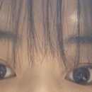 블러쉬그레이 이미지
