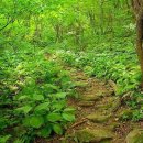 양지-3516 이미지