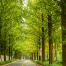 용지호수공원 이미지