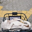 우진하이빌 | 3박4일 혼자 떠난 제주도자전거여행 일기 (전기자전거/자전거사고/나름성공적)