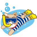 올레애견펜션 이미지