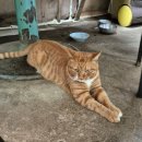 [블챌][스페셜 포토덤프] 강원도 정선 1박2일 여행 | 민둥산