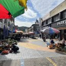 도진리95 이미지