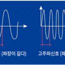 올리고365 이미지
