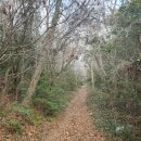 [섬산행#45] 신지도 상산 최단코스 산행 이미지