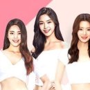 약손명가양재점 네이버블로그
