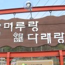 전남 담양의 꽃차 전문 찻집 `머루랑 다래랑`~~ 이미지