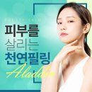 알라딘 메디칼 이미지