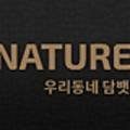 바른담뱃잎 이미지