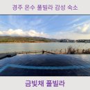 금빛채 풀빌라(다) 이미지