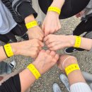 푸른솔농장4 | [여행김꽈자] 고창 청보리밭 학원농장 후기 (축제 전 방문) : 뚜벅이 가는법 꿀팁
