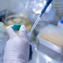 엘에스글로벌 이미지