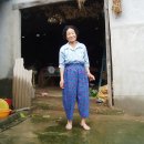 대밭골로 Daum카페