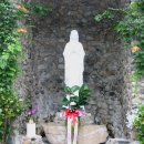 도계3리 이미지