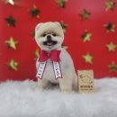 땡자네 묭실 이미지