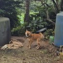 (주)강진우리신문 - 8278 | 2박 3일 강진 푸소 촌캉스 체험 후기