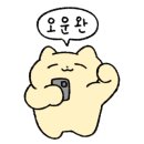 크로스핏 라온3 이미지