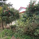 선화민박 이미지