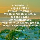 푸른잎사귀 이미지