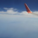 울릉도 알프스 이미지