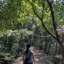 서봉산 산림욕장 2 | 한여름, 서봉산을 오르다 – 경기도 화성 근교 여름 등산 추천