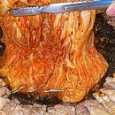 무쇠김치삼겹 이미지