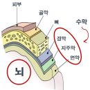 동탄24시동물의료센터 이미지