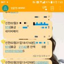 내트럭(주)부산용당사업소 | 주말 350km 사람을 만나는 게스트하우스여행기+부산마야,경주아띠