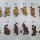 기초로스팅과 향미분석과정 이미지